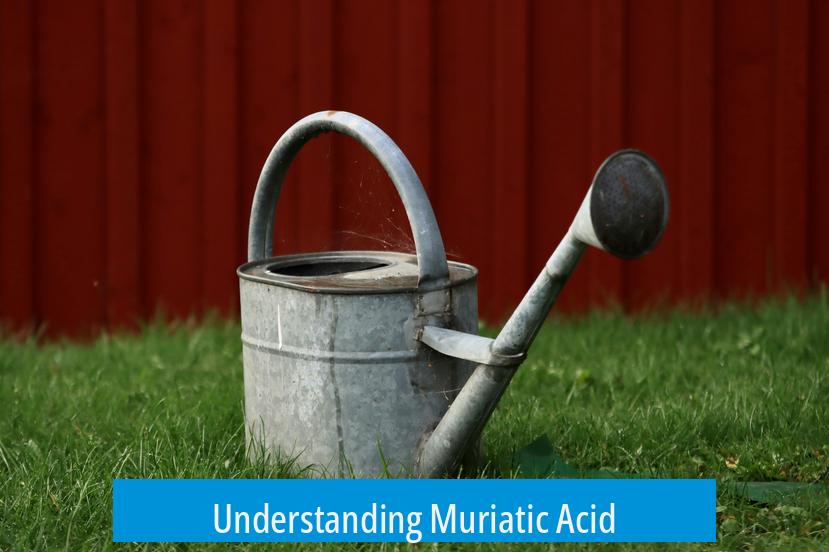 Understanding Muriatic Acid