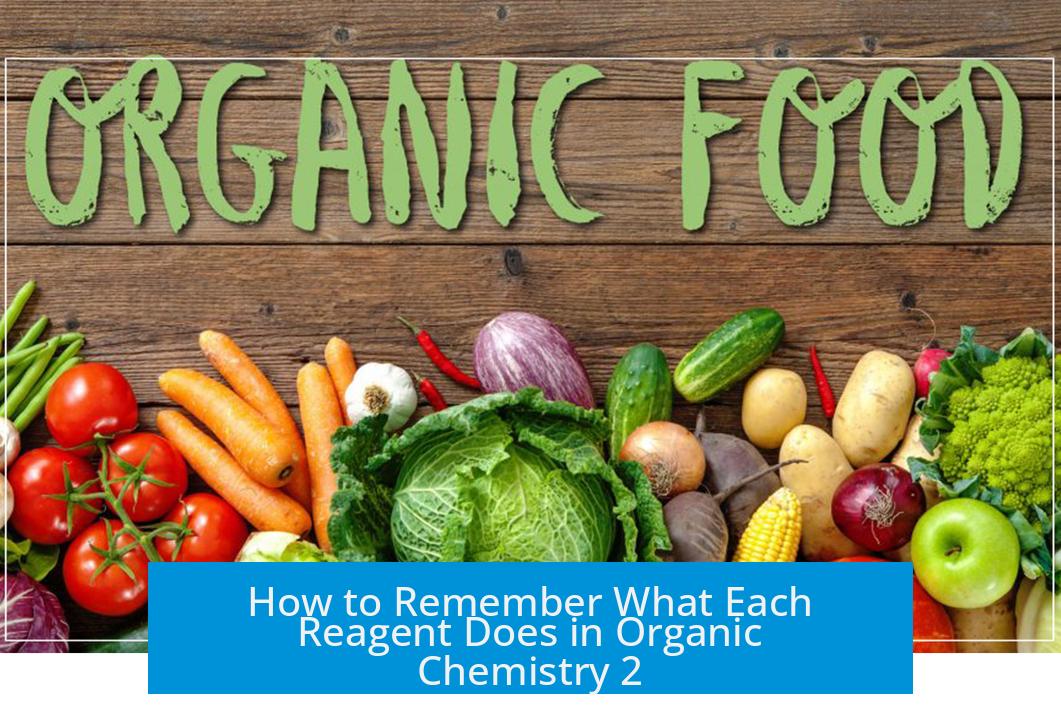 How to Remember What Each Reagent Does in Organic Chemistry 2