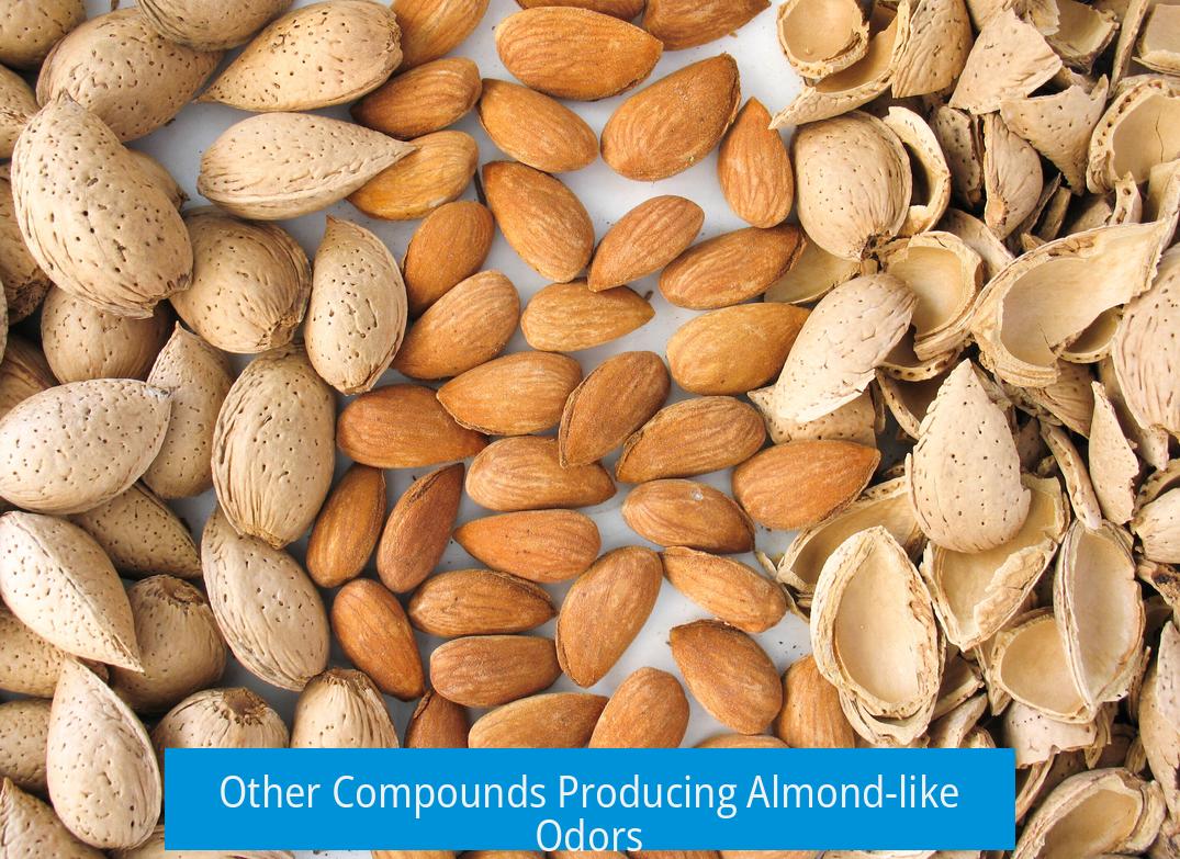 Other Compounds Producing Almond-like Odors