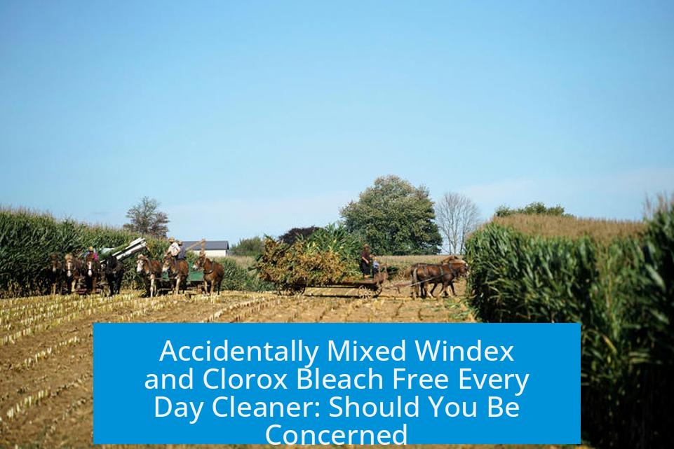 Accidentally Mixed Windex and Clorox Bleach Free Every Day Cleaner: Should You Be Concerned?