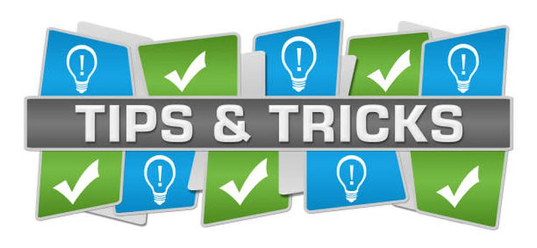 3. DpnI Treatment and Transformation