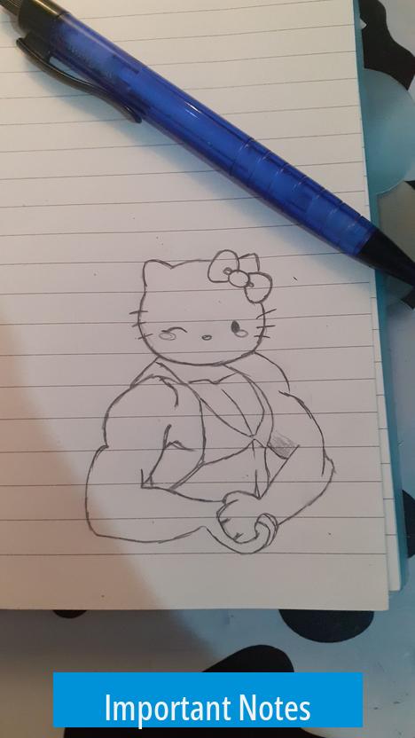 Important Notes