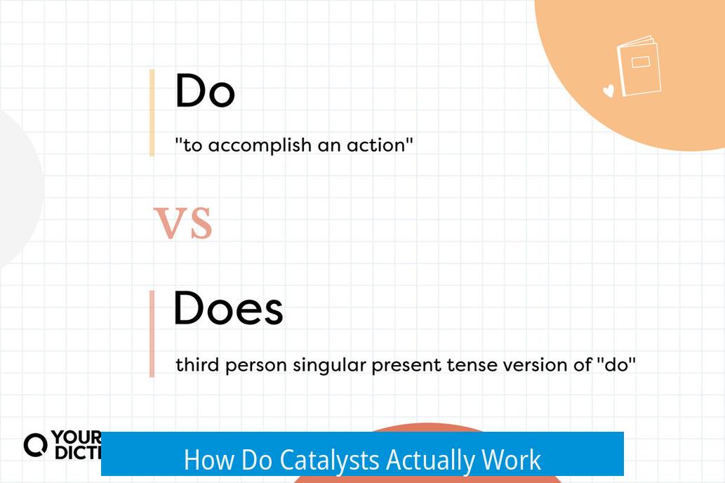 How Do Catalysts Actually Work?