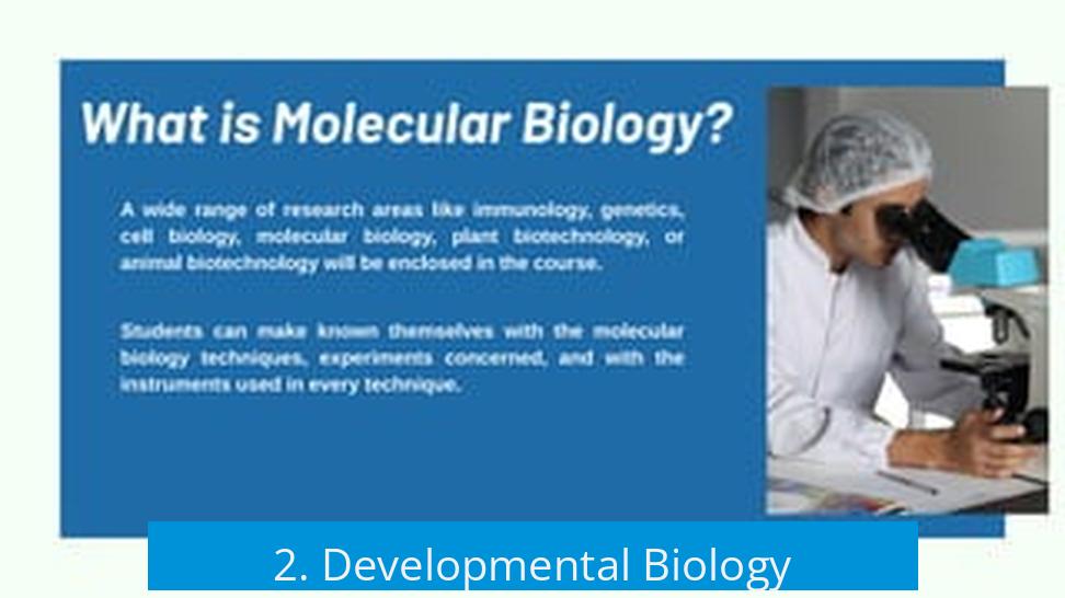 2. Developmental Biology