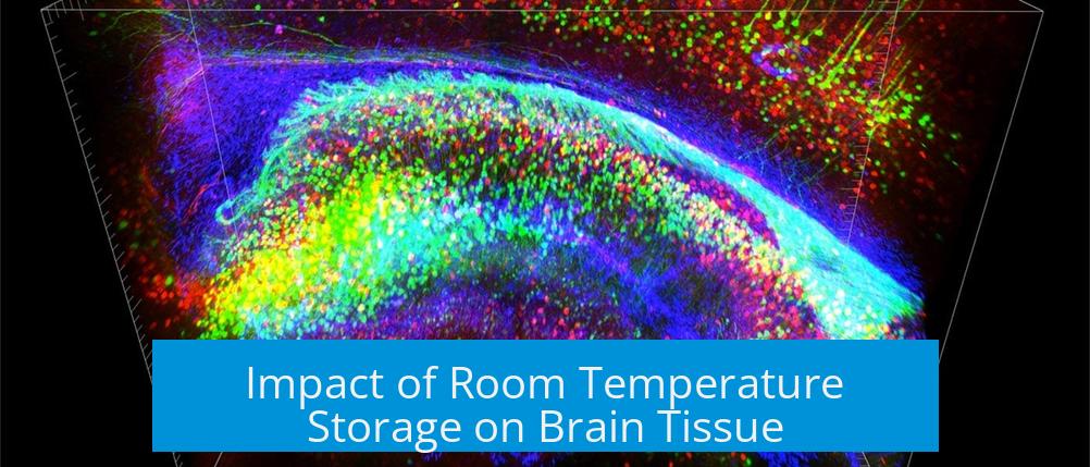 Impact of Room Temperature Storage on Brain Tissue