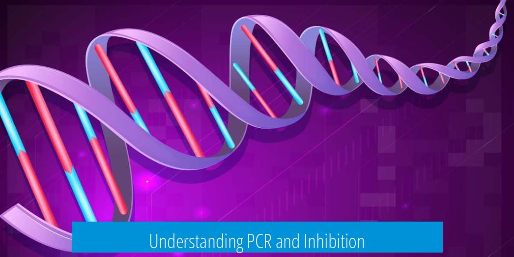 Understanding PCR and Inhibition