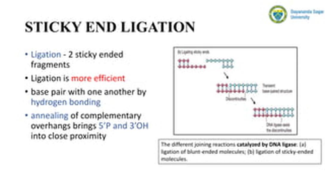 Conclusion and Recommendations