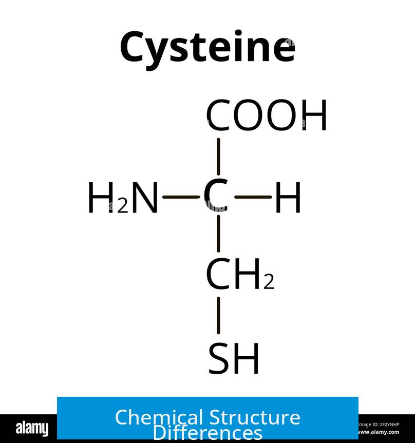 Chemical Structure Differences