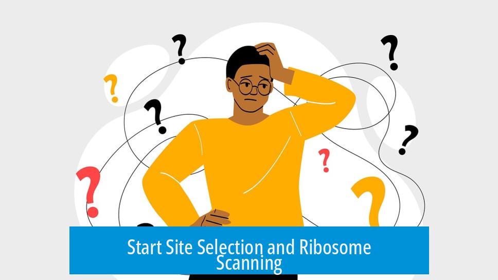 Start Site Selection and Ribosome Scanning