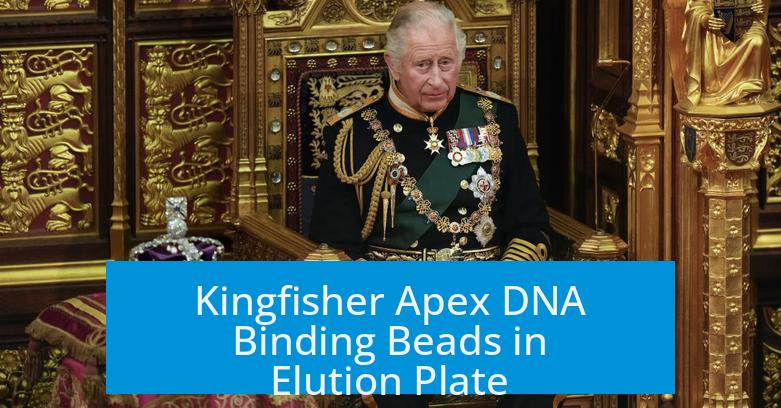 Kingfisher Apex DNA Binding Beads in Elution Plate