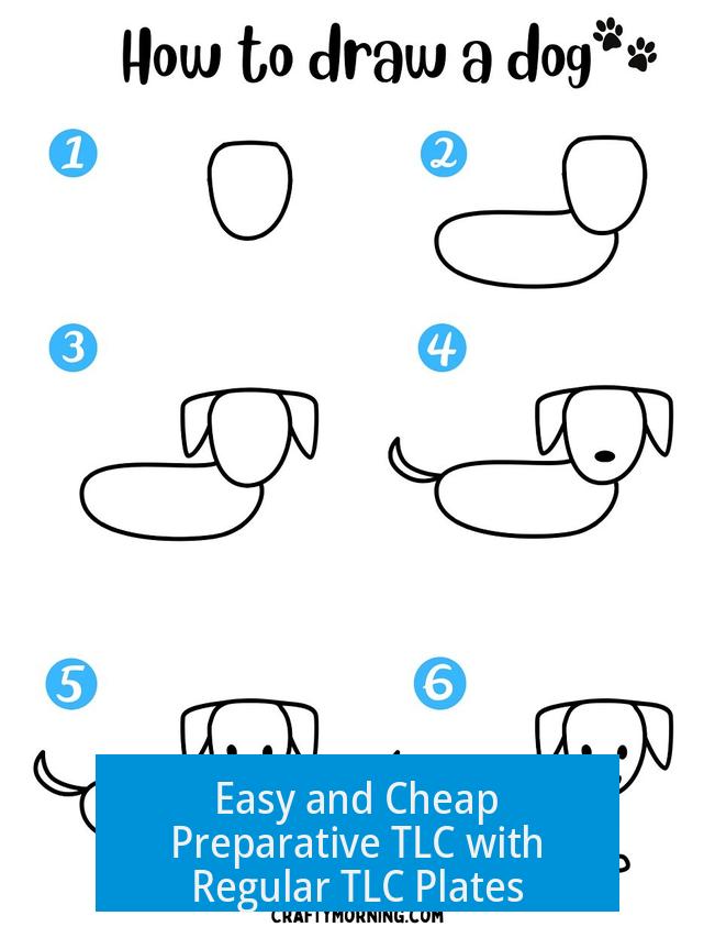 Easy and Cheap Preparative TLC with Regular TLC Plates