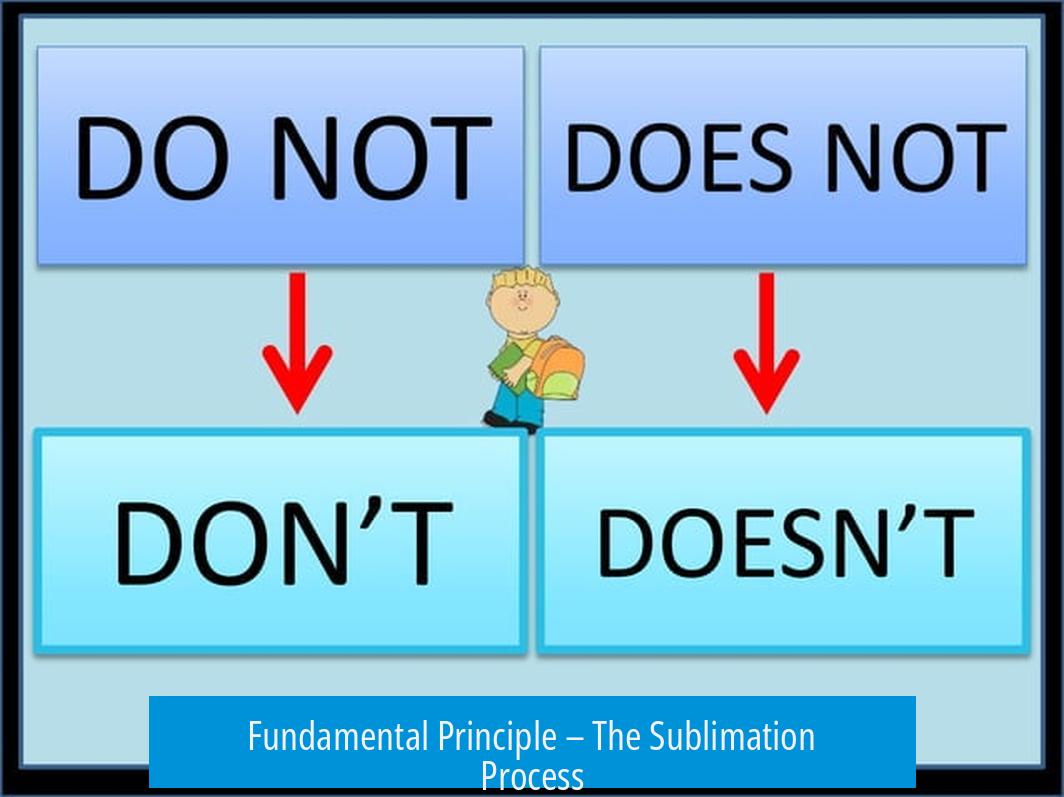 Fundamental Principle – The Sublimation Process
