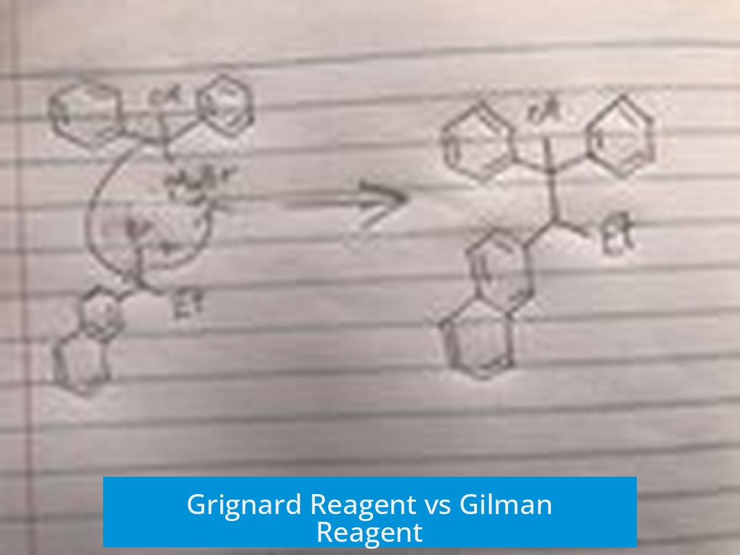 Grignard Reagent vs Gilman Reagent