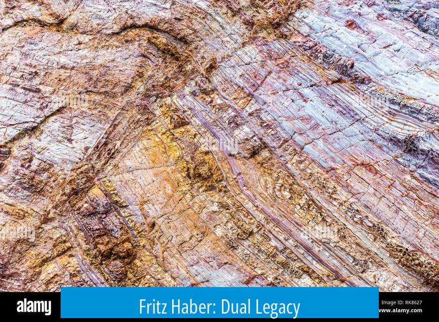 Fritz Haber: Dual Legacy
