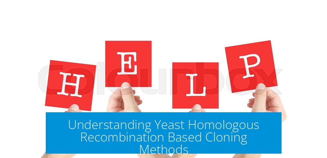 Understanding Yeast Homologous Recombination Based Cloning Methods