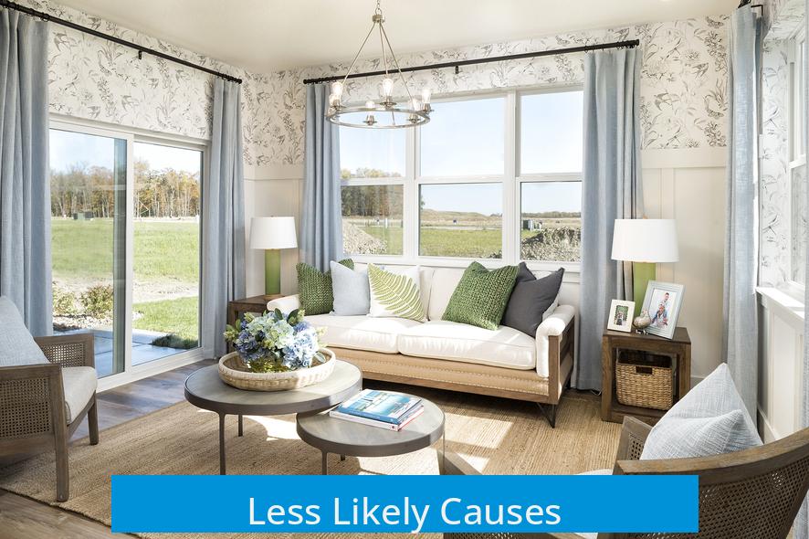 Less Likely Causes