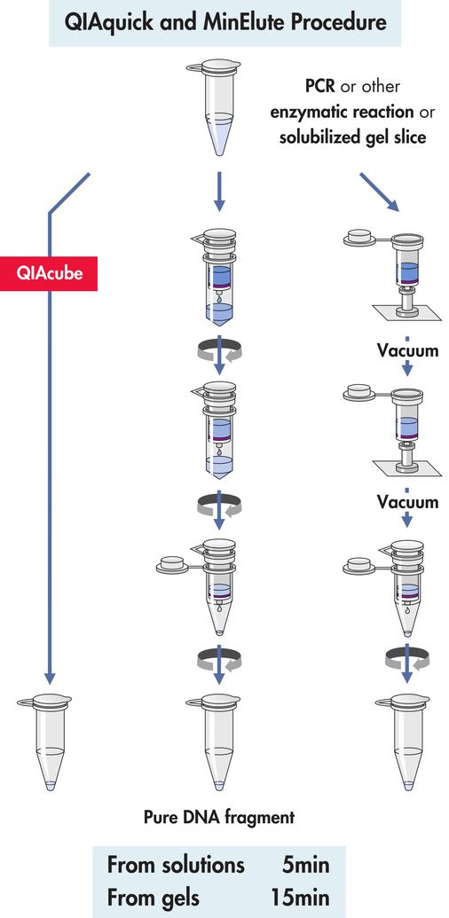The protocol supports passing the cleared lysate over packed beads directly. Optionally, the flow-through can be collected and re-applied to the column to maximize protein capture.