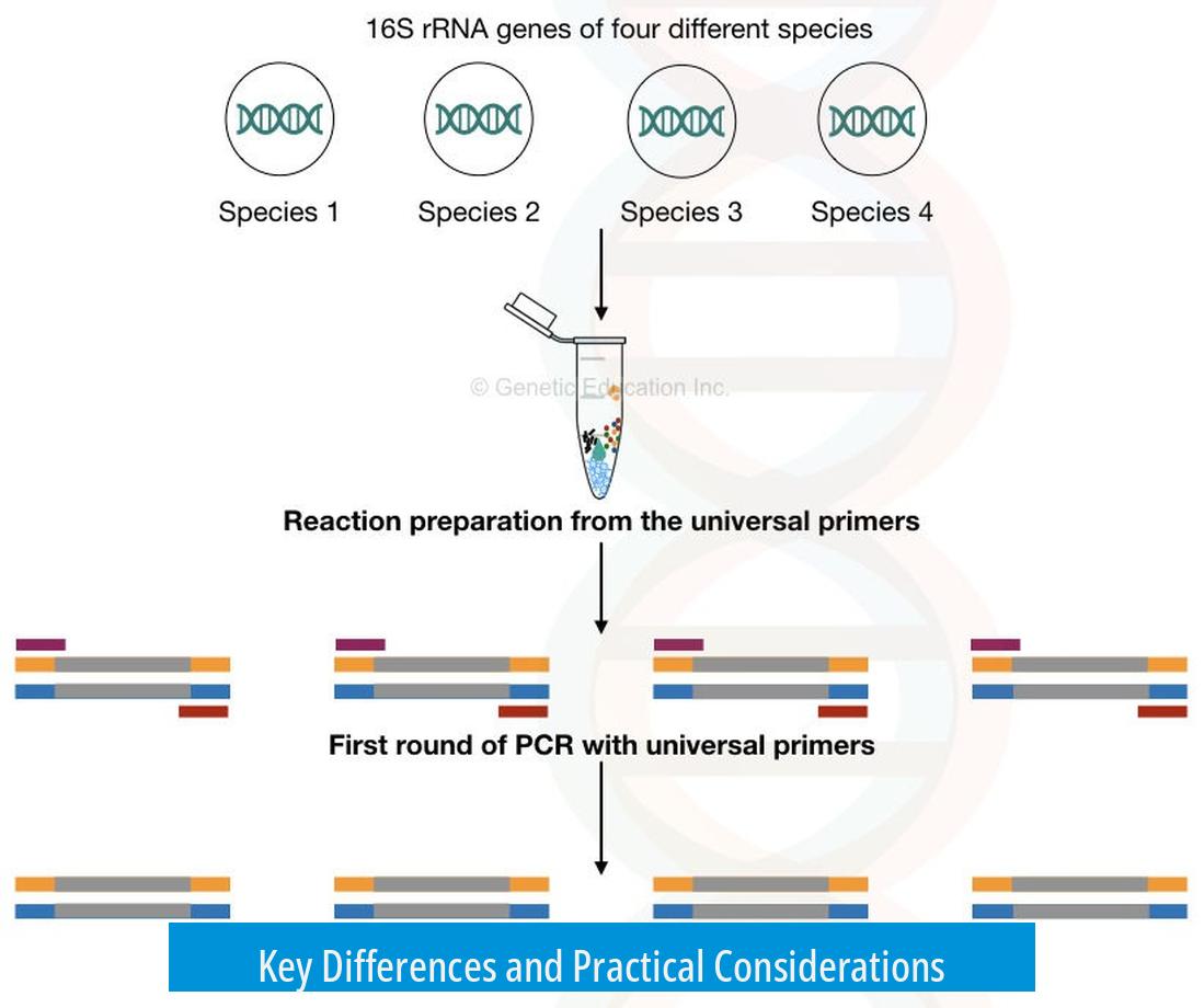 Key Differences and Practical Considerations