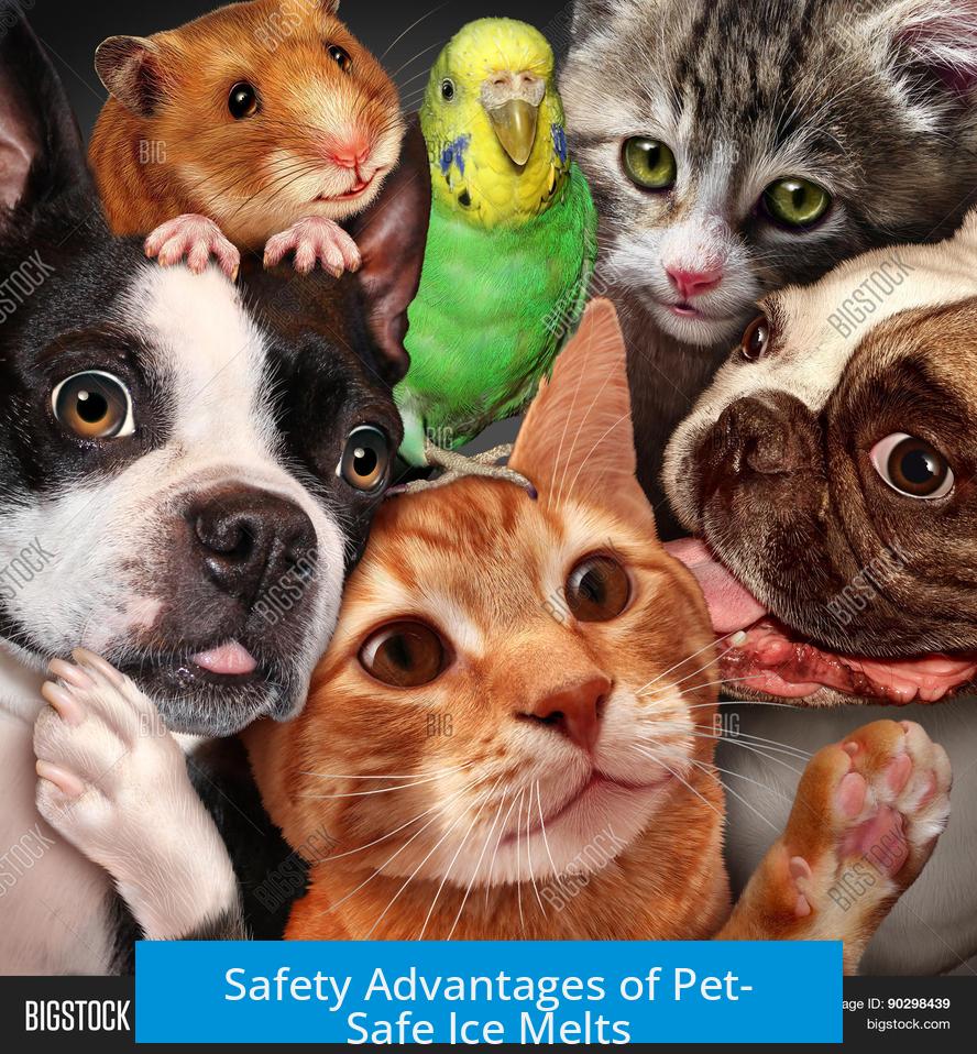 Safety Advantages of Pet-Safe Ice Melts