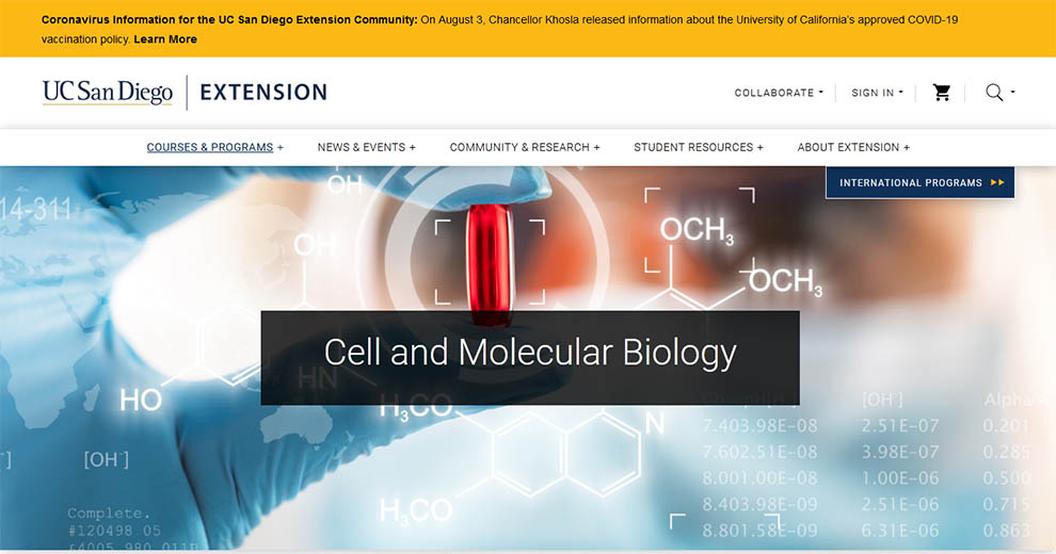 Bonus Tips to Speed Up Molecular Biology Learning