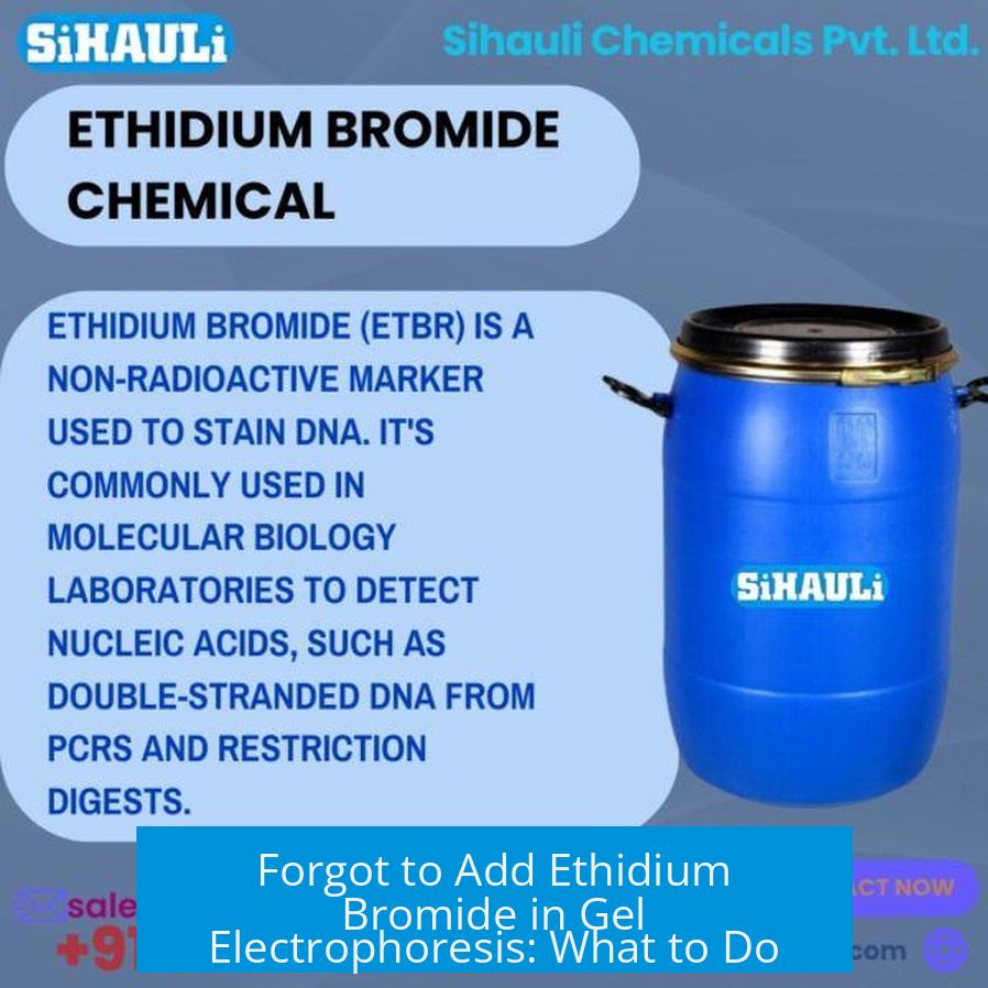 Forgot to Add Ethidium Bromide in Gel Electrophoresis: What to Do