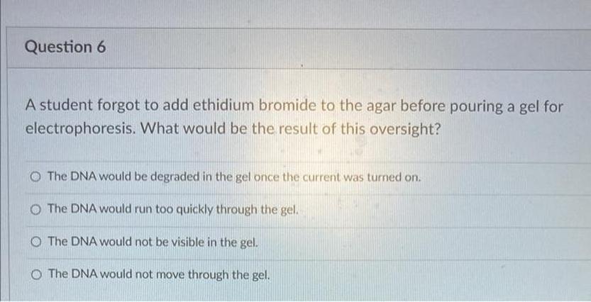 I Forgot to Add Ethidium Bromide in Gel: What Now?