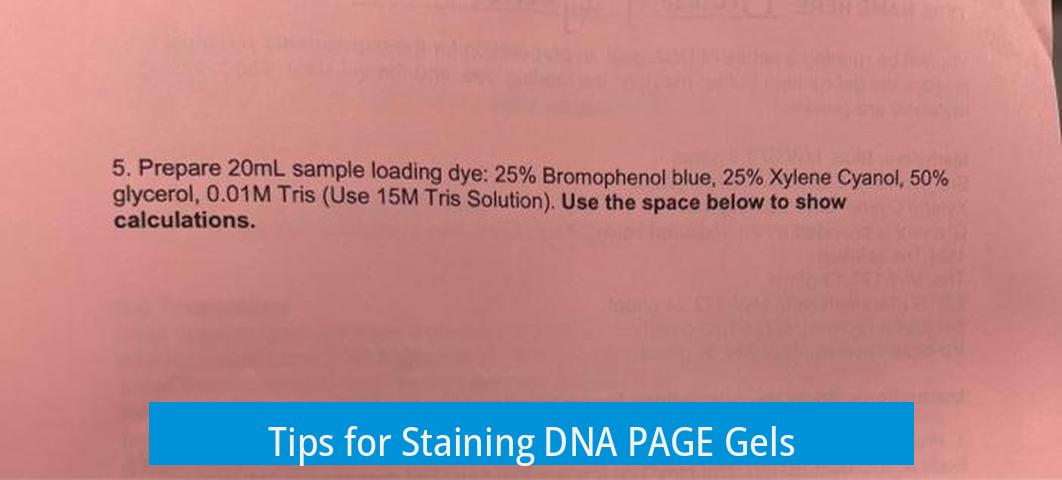 Tips for Staining DNA PAGE Gels