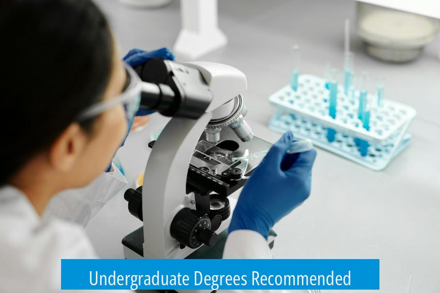 Undergraduate Degrees Recommended