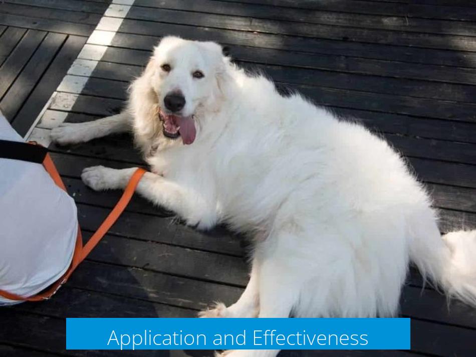 Application and Effectiveness