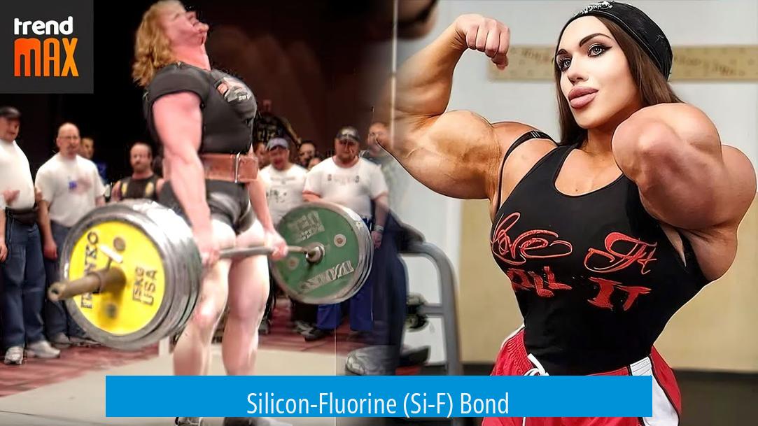 Silicon-Fluorine (Si-F) Bond
