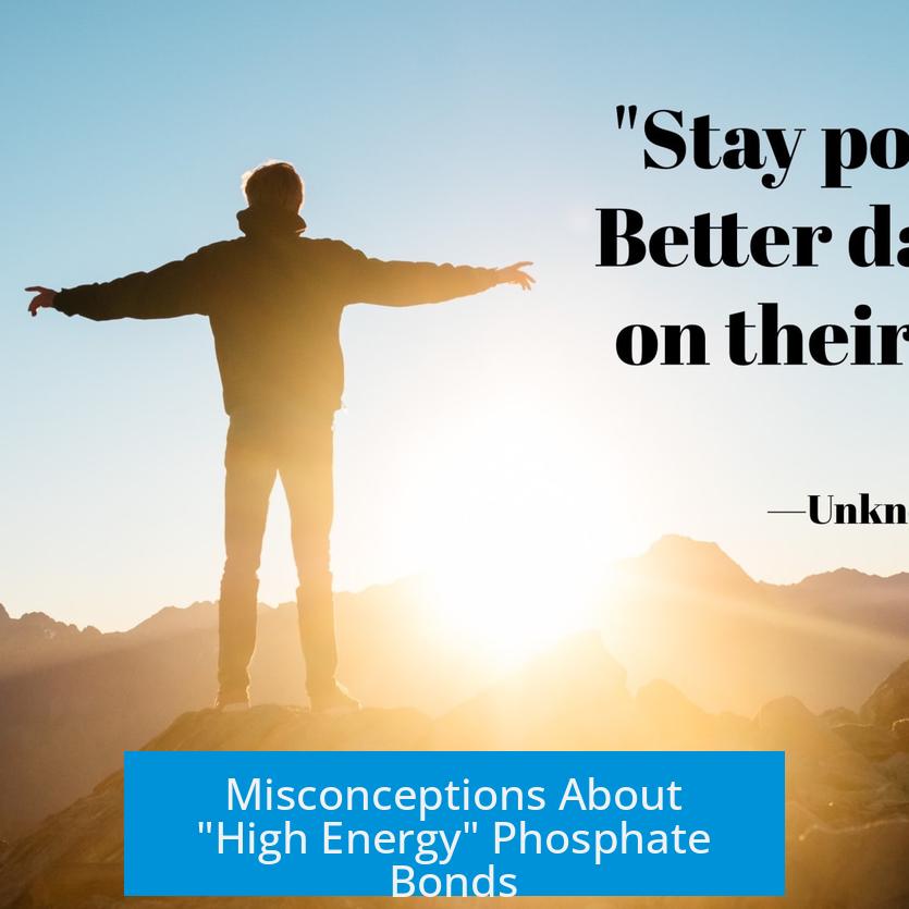 Misconceptions About "High Energy" Phosphate Bonds