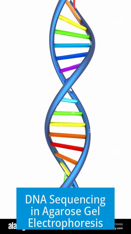 DNA Sequencing in Agarose Gel Electrophoresis