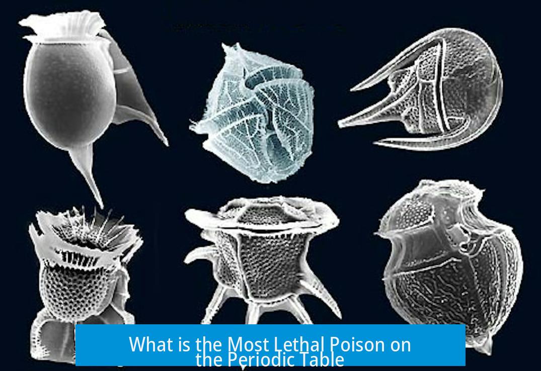 What is the Most Lethal Poison on the Periodic Table?