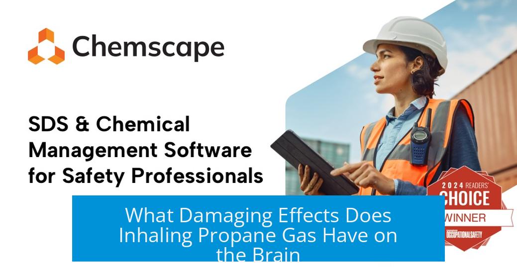 What Damaging Effects Does Inhaling Propane Gas Have on the Brain?