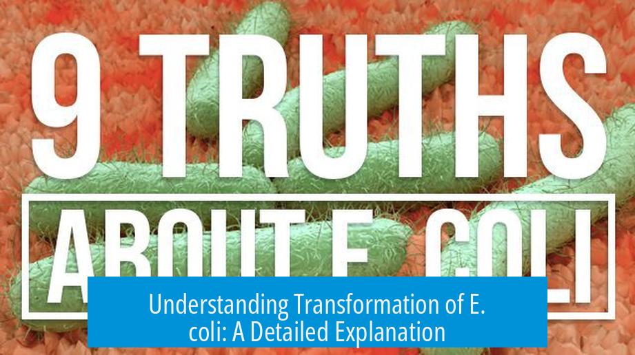 Understanding Transformation of E. coli: A Detailed Explanation