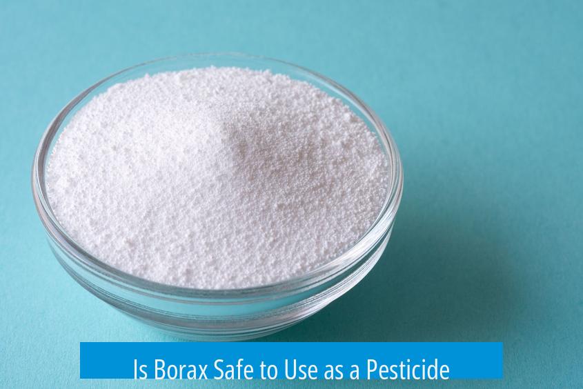Is Borax Safe to Use as a Pesticide?