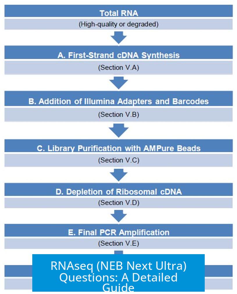 RNAseq (NEB Next Ultra) Questions: A Detailed Guide