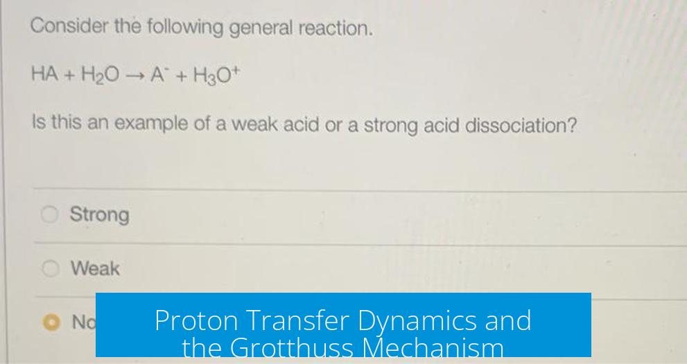 Proton Transfer Dynamics and the Grotthuss Mechanism
