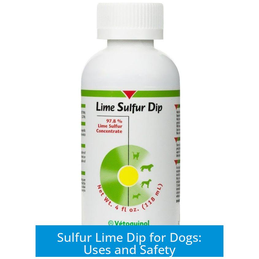 Sulfur Lime Dip for Dogs: Uses and Safety