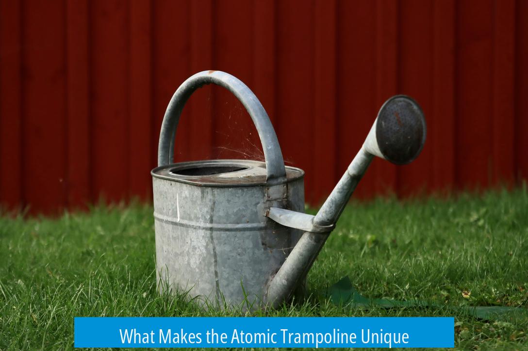 What Makes the Atomic Trampoline Unique?