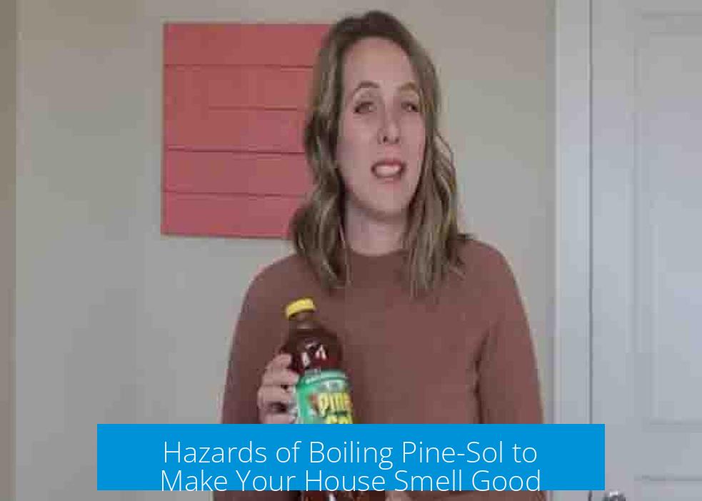 Hazards of Boiling Pine-Sol to Make Your House Smell Good