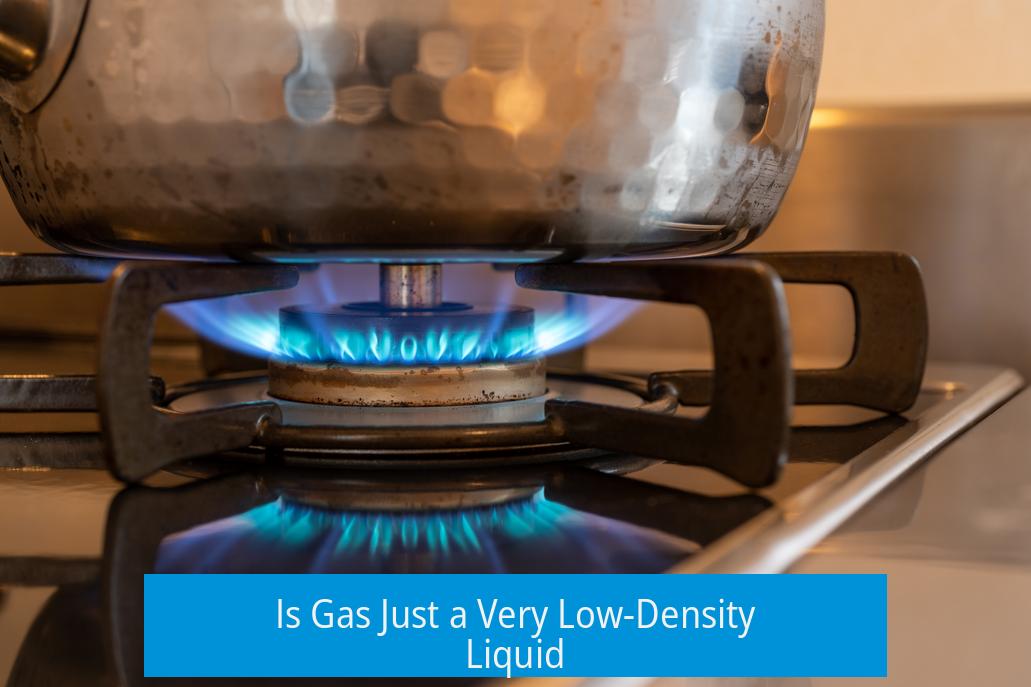Is Gas Just a Very Low-Density Liquid?