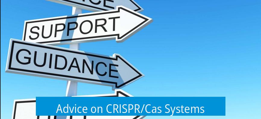 Advice on CRISPR/Cas Systems
