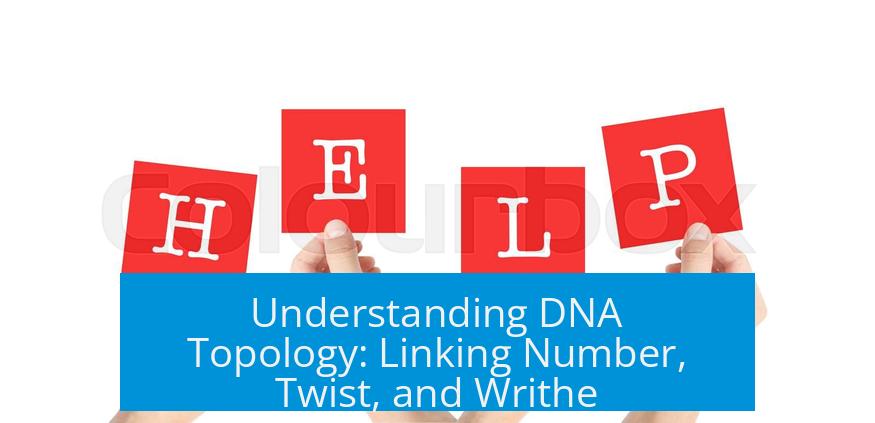Understanding DNA Topology: Linking Number, Twist, and Writhe