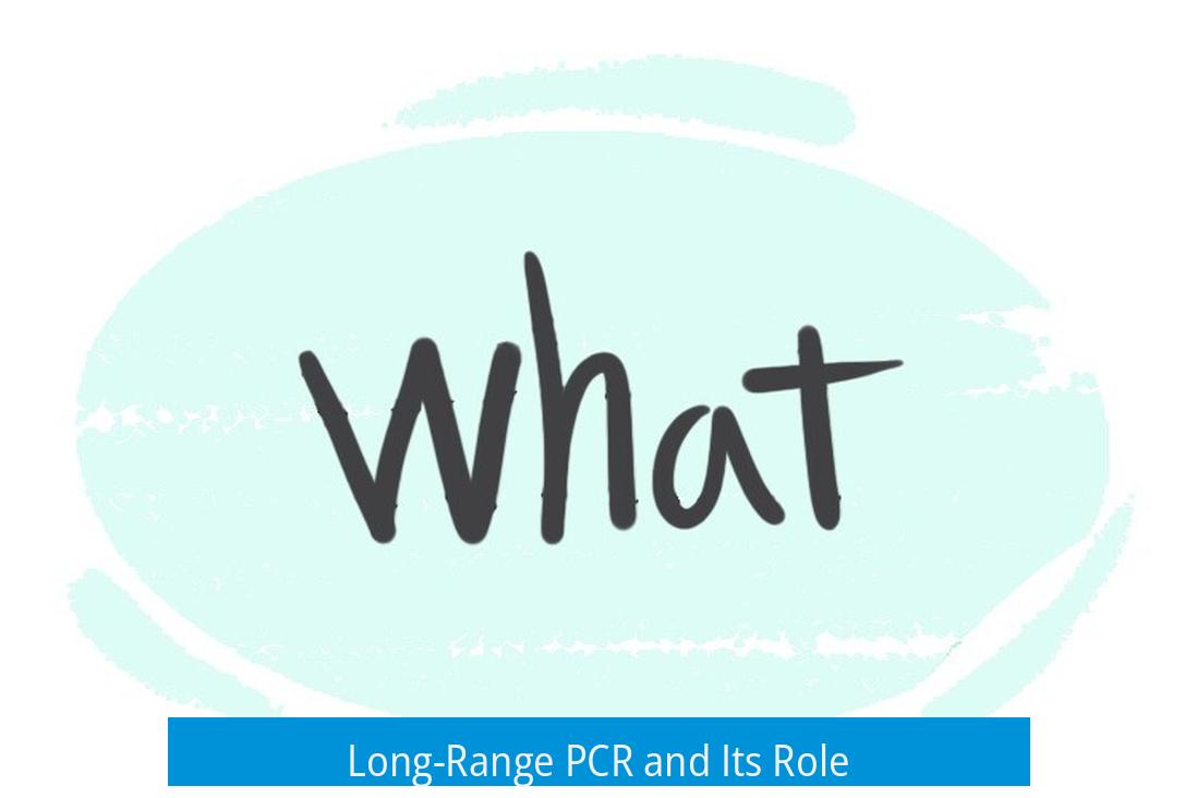 Long-Range PCR and Its Role