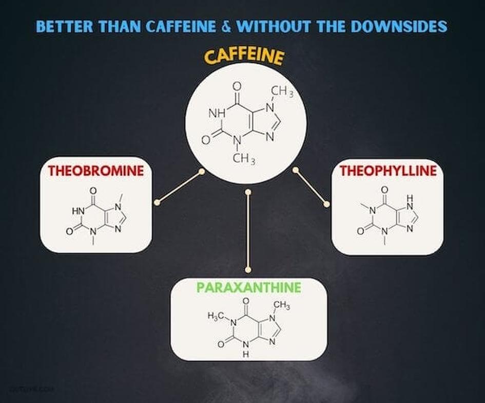 By converting both masses to moles, one can normalize doses. Additionally, considering that about 84% of caffeine metabolizes into paraxanthine within minutes after ingestion highlights their linked but distinct pharmacokinetics.