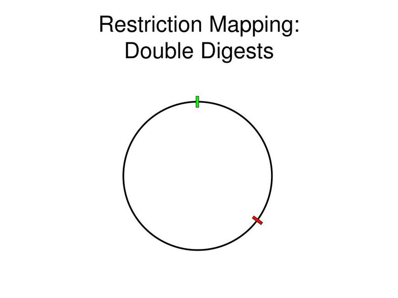 Step 4: Using Additional Resources and Strategies