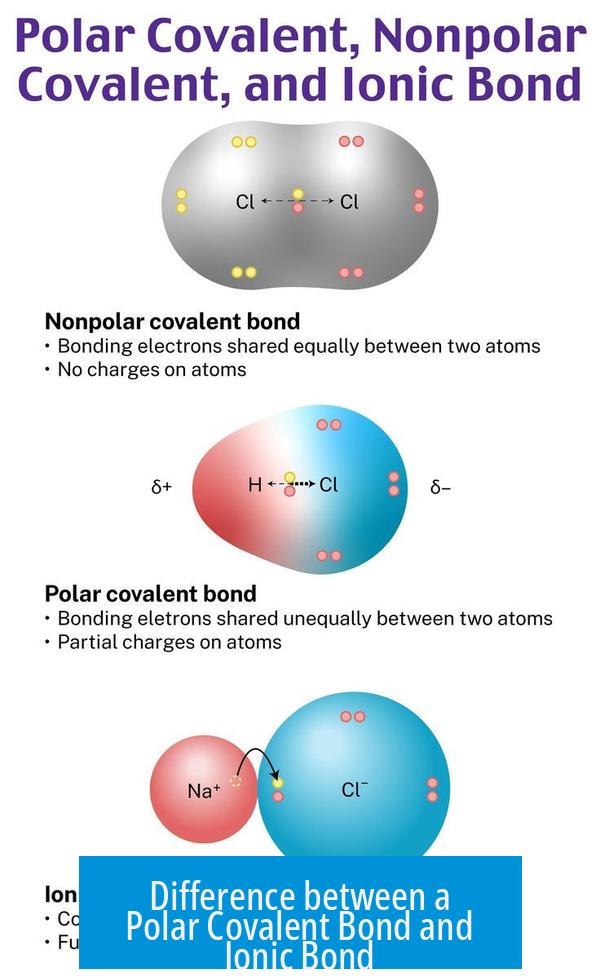 Difference between a Polar Covalent Bond and Ionic Bond