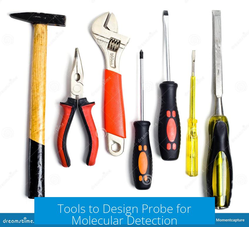 Tools to Design Probe for Molecular Detection