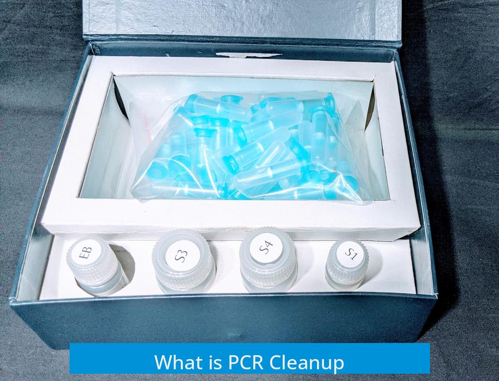What is PCR Cleanup?